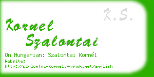 kornel szalontai business card